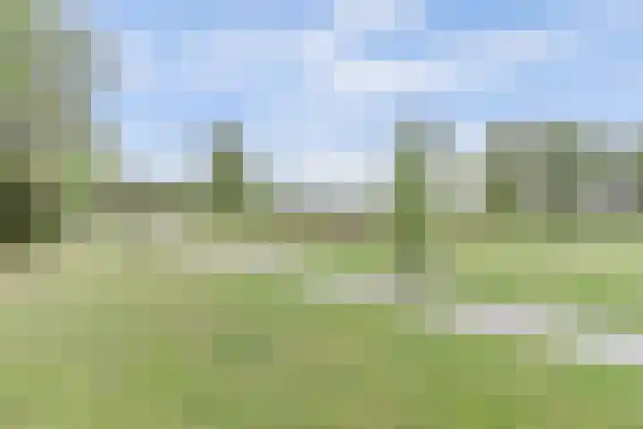 Retiefstraat 221 Ermelo thumbnail 37
