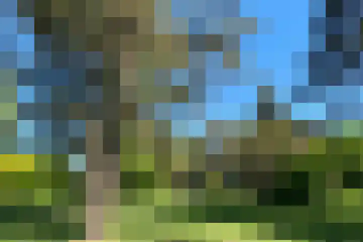 Retiefstraat 221 Ermelo thumbnail 44