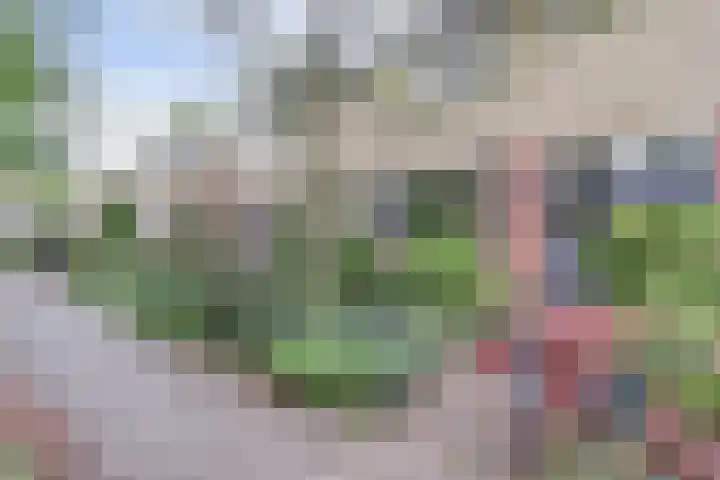 Retiefstraat 221 Ermelo thumbnail 55
