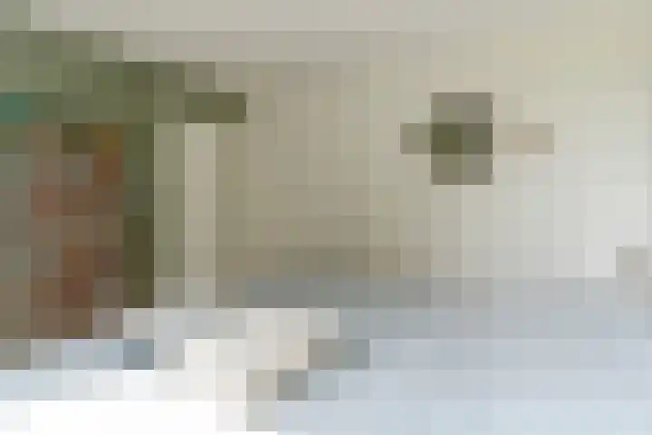 Retiefstraat 315 Ermelo thumbnail 23