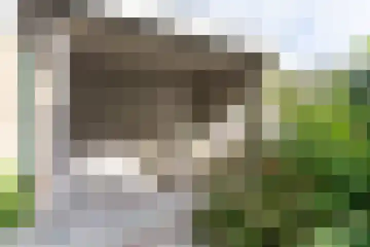 Retiefstraat 315 Ermelo thumbnail 43