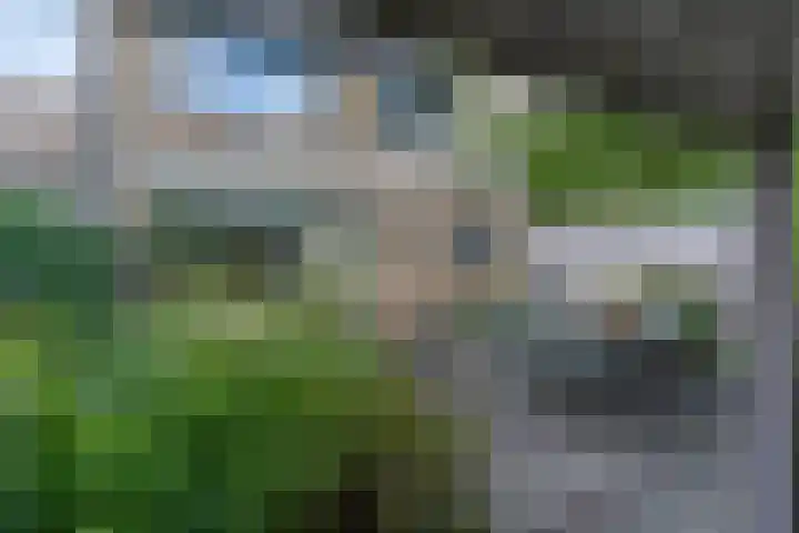 Retiefstraat 315 Ermelo thumbnail 44