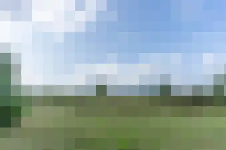 Retiefstraat 315 Ermelo thumbnail 47