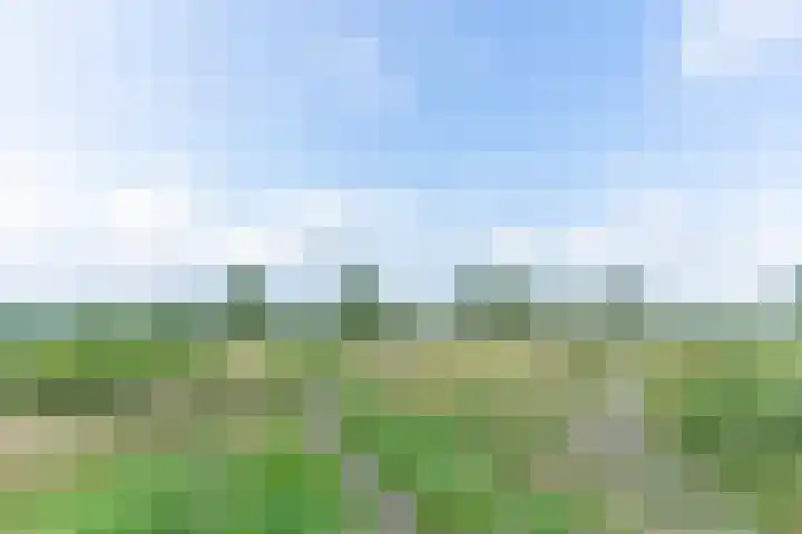 Retiefstraat 315 Ermelo thumbnail 48