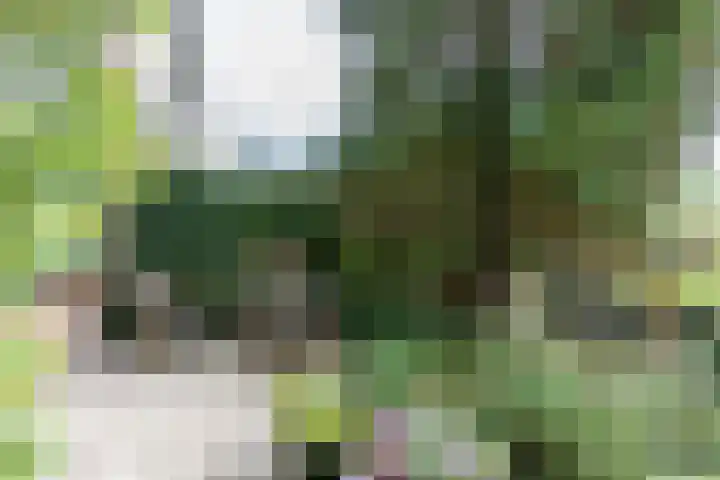 Retiefstraat 315 Ermelo thumbnail 5