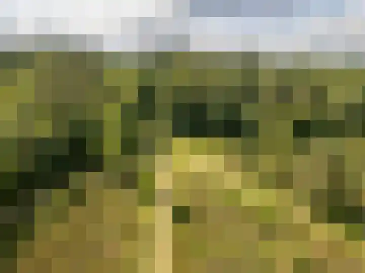 Retiefstraat 315 Ermelo thumbnail 54