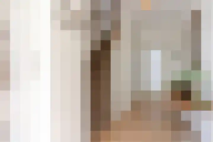 Retiefstraat 315 Ermelo thumbnail 7