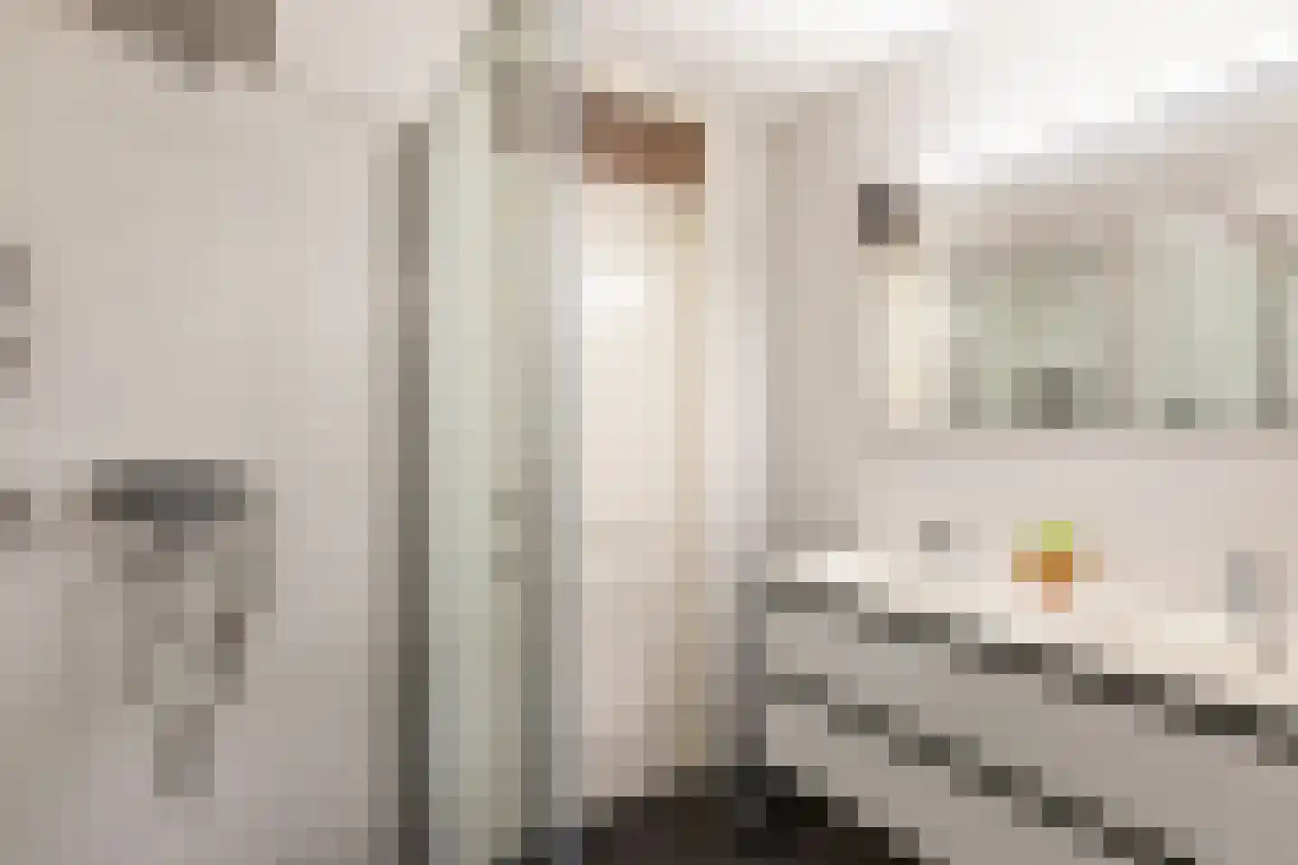 Retiefstraat 317 Ermelo thumbnail 25