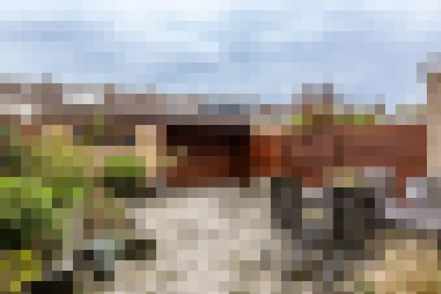 Retiefstraat 317 Ermelo thumbnail 30