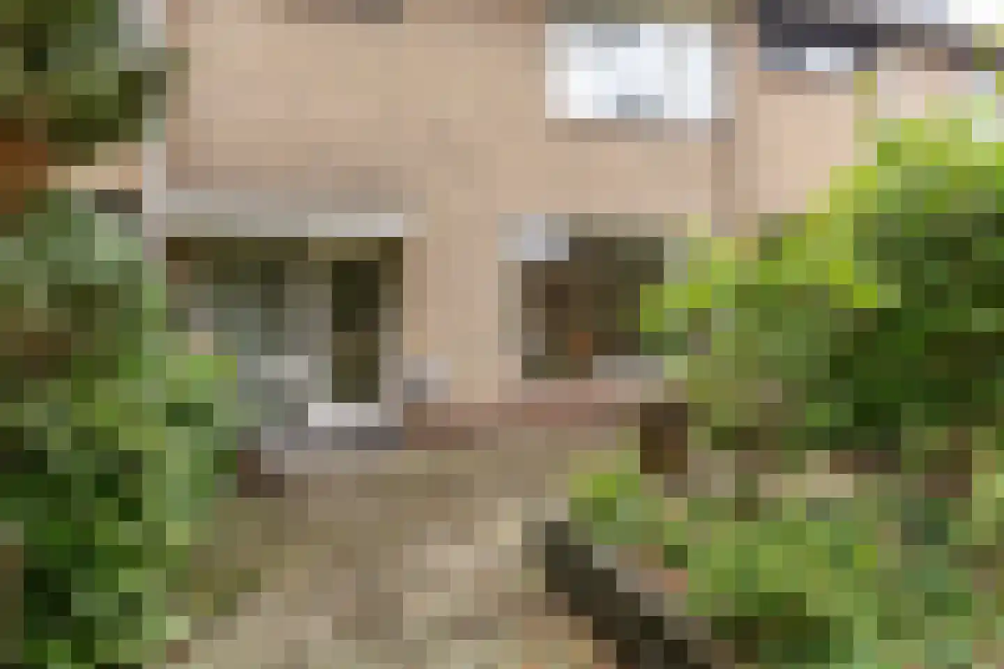 Retiefstraat 317 Ermelo thumbnail 34