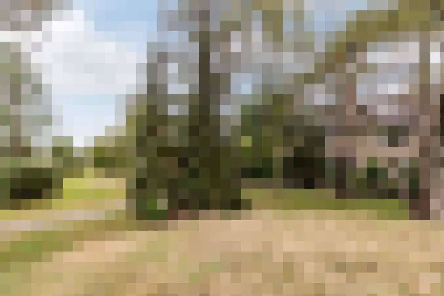 Retiefstraat 317 Ermelo thumbnail 36