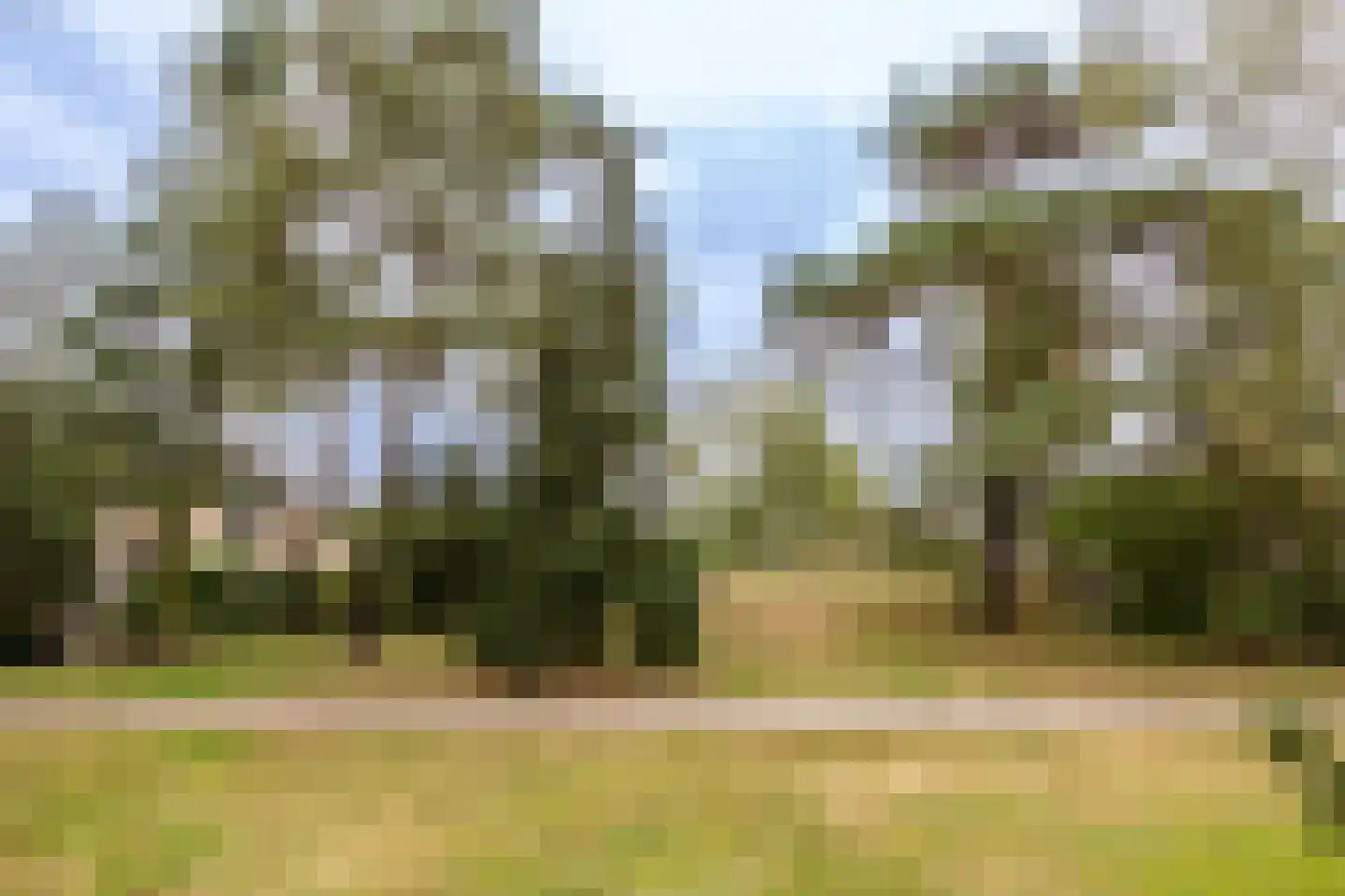 Retiefstraat 317 Ermelo thumbnail 37