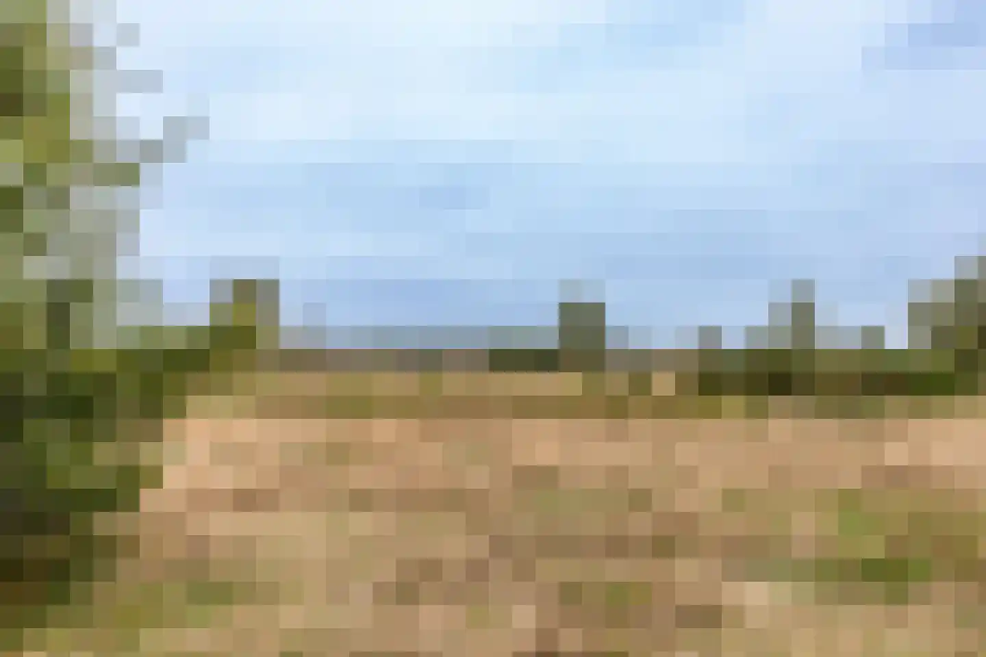 Retiefstraat 317 Ermelo thumbnail 38