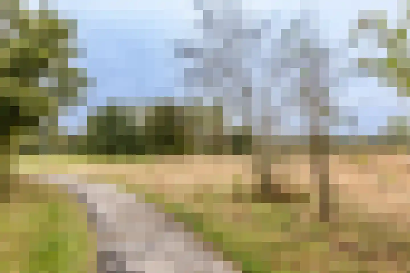 Retiefstraat 317 Ermelo thumbnail 39