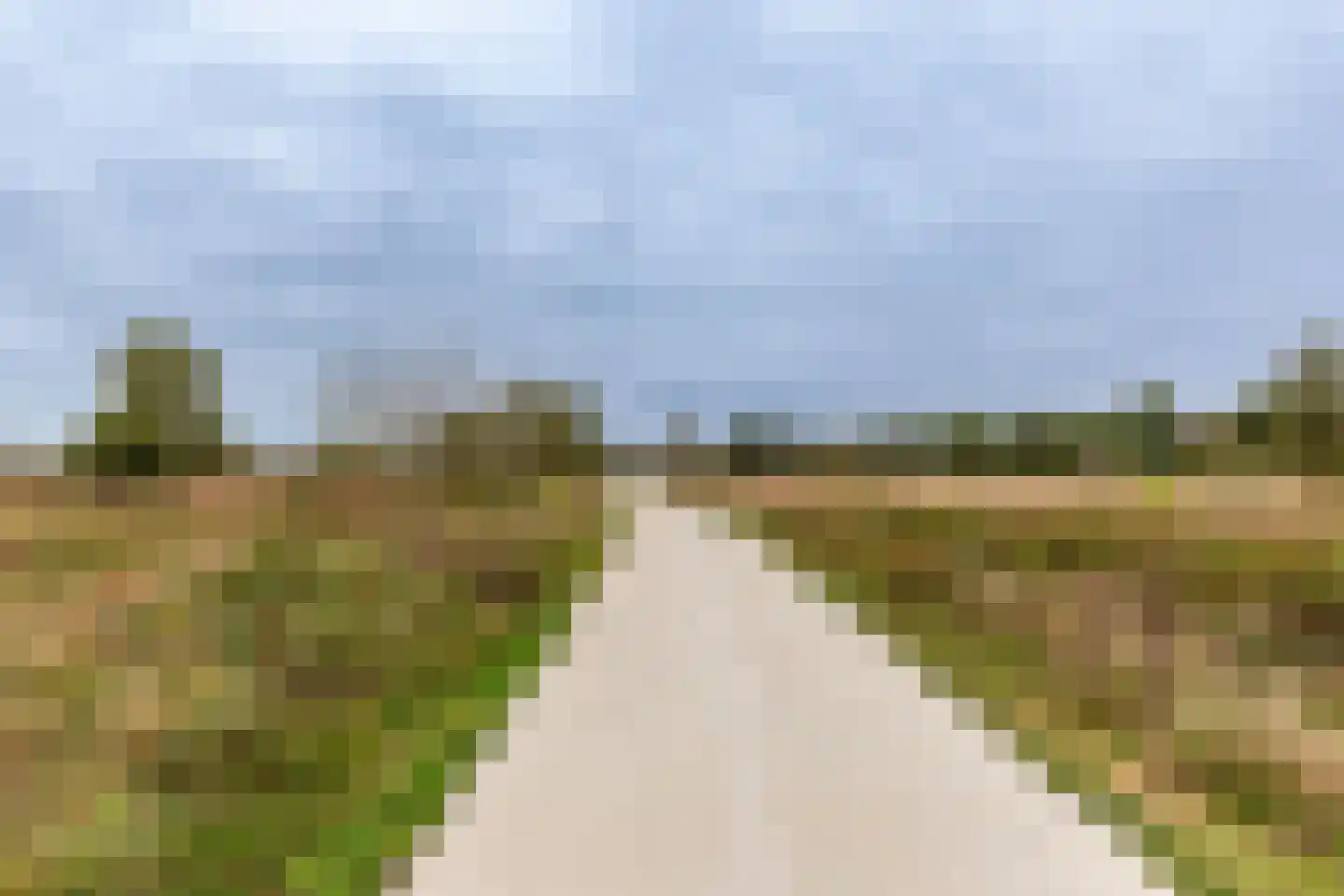 Retiefstraat 317 Ermelo thumbnail 42