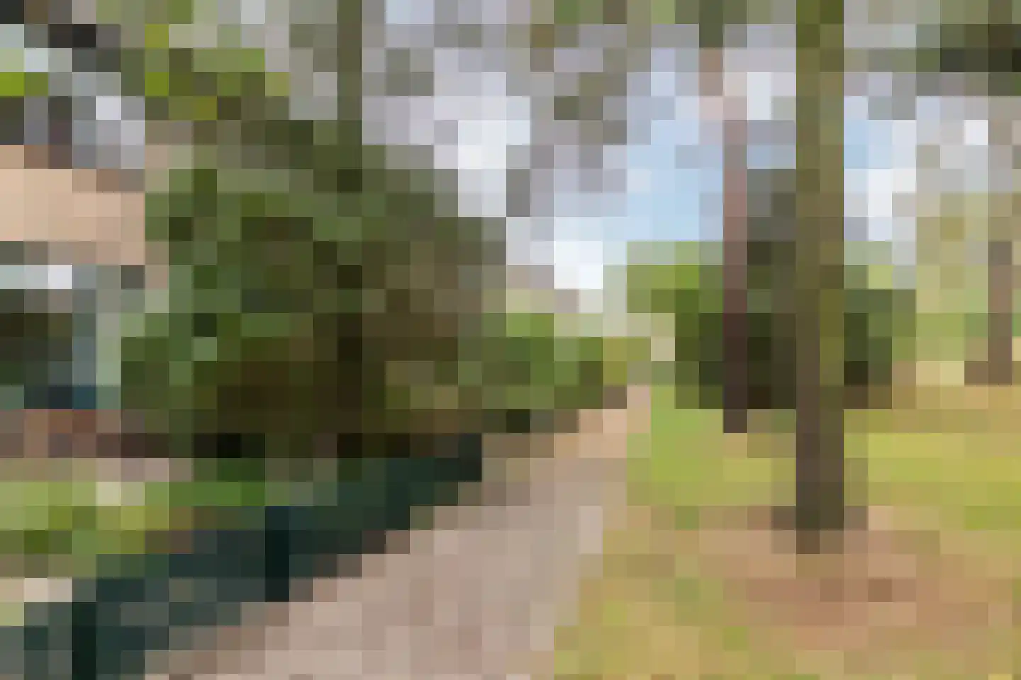 Retiefstraat 317 Ermelo thumbnail 43