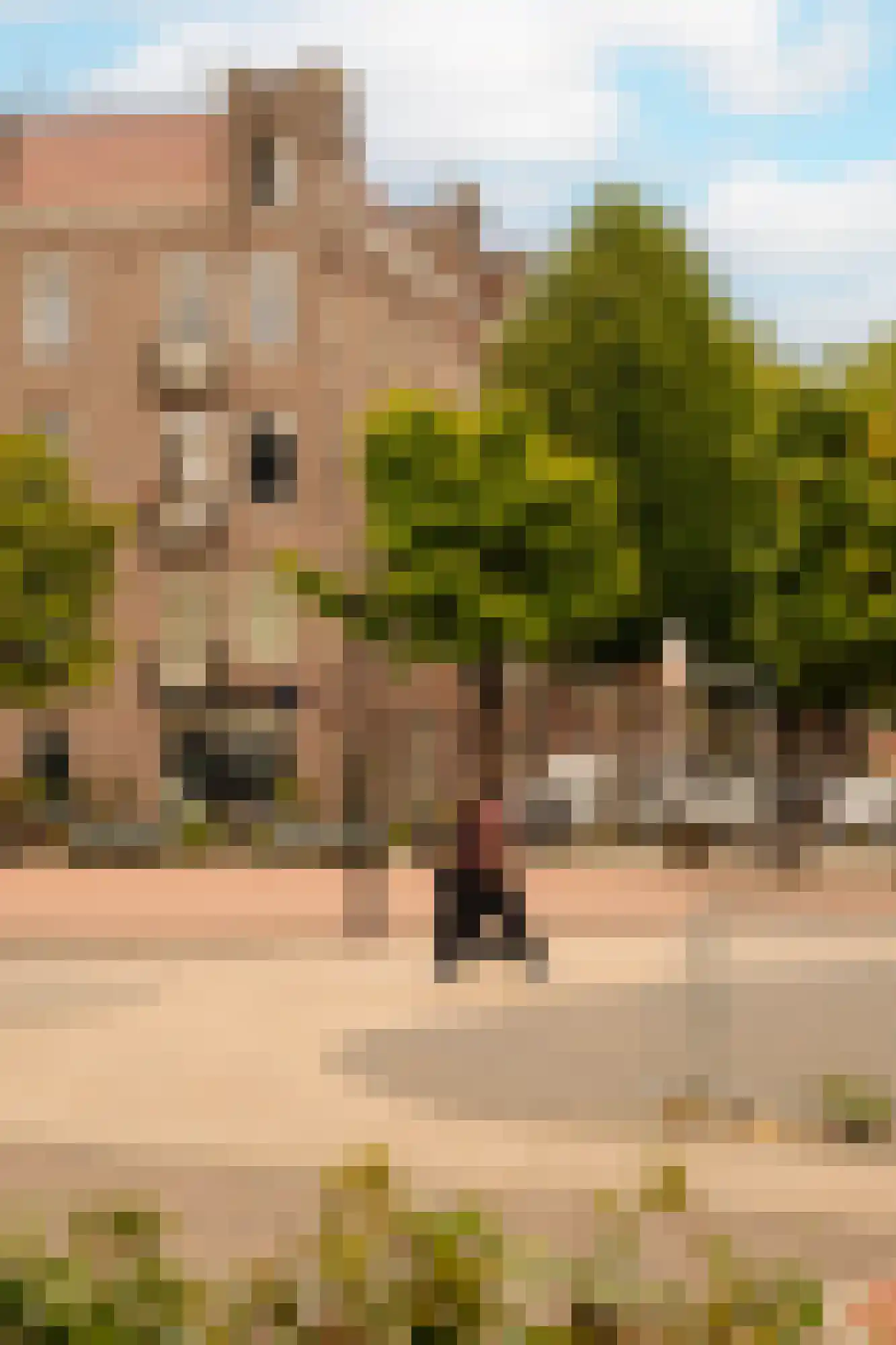 Retiefstraat 39 2 Amsterdam thumbnail 25