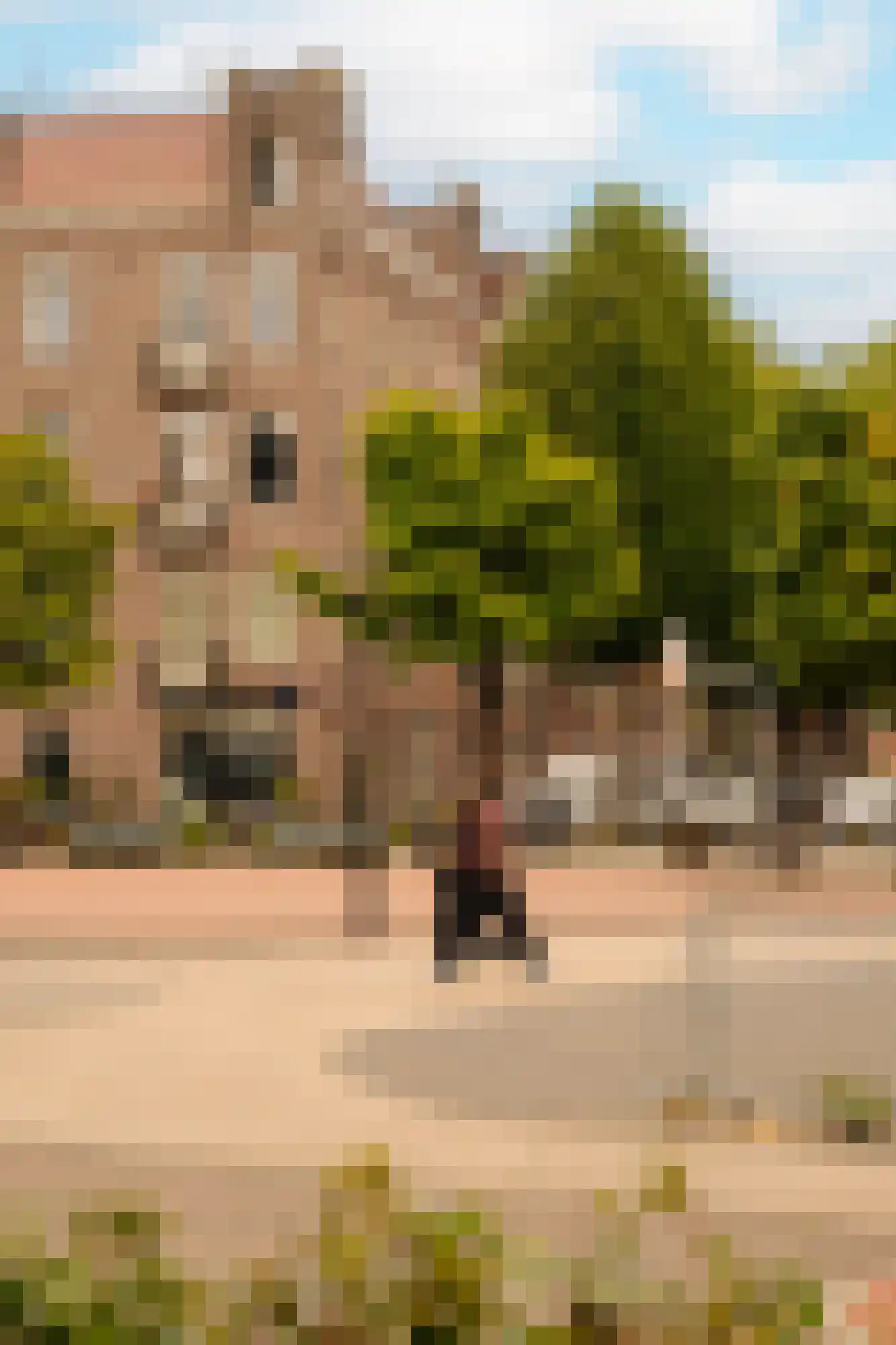 Retiefstraat 39 2 Amsterdam thumbnail 26