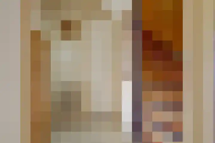 Retiefstraat 41 Ridderkerk thumbnail 19