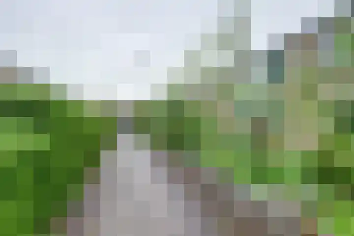 Retiefstraat 41 Ridderkerk thumbnail 26
