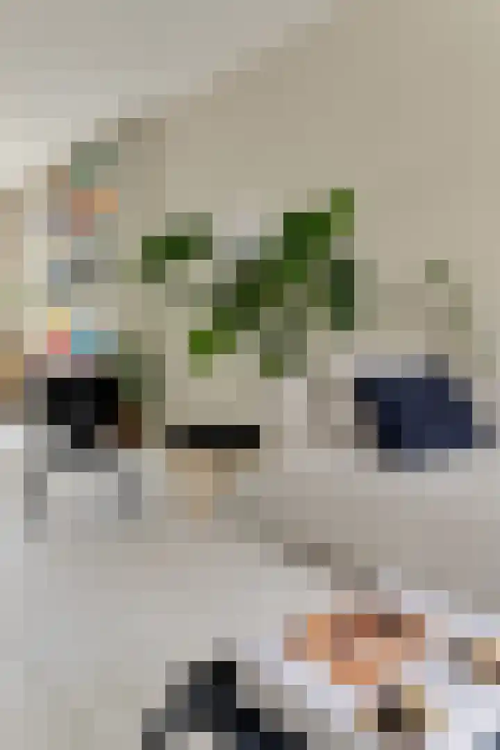 Retiefstraat 49 1 Amsterdam thumbnail 18