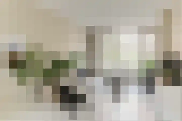 Retiefstraat 49 1 Amsterdam thumbnail 8
