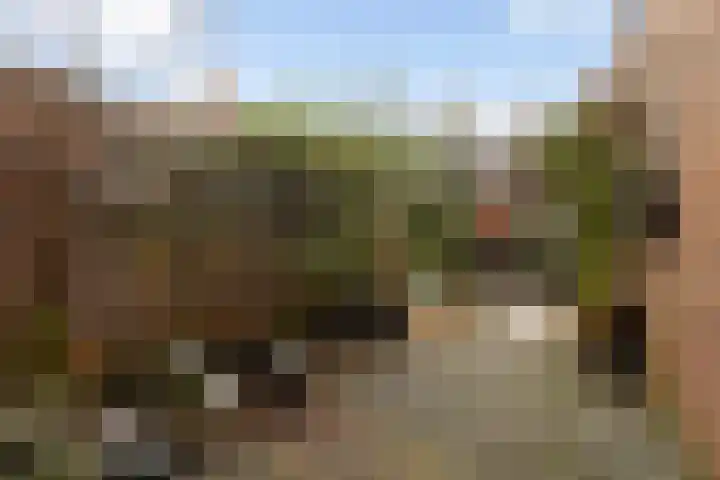 Retiefstraat 6 Vaassen thumbnail 27