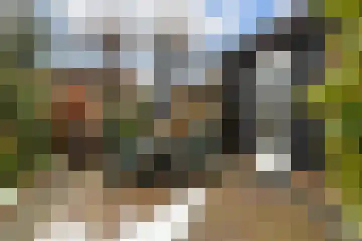 Retiefstraat 6 Vaassen thumbnail 28