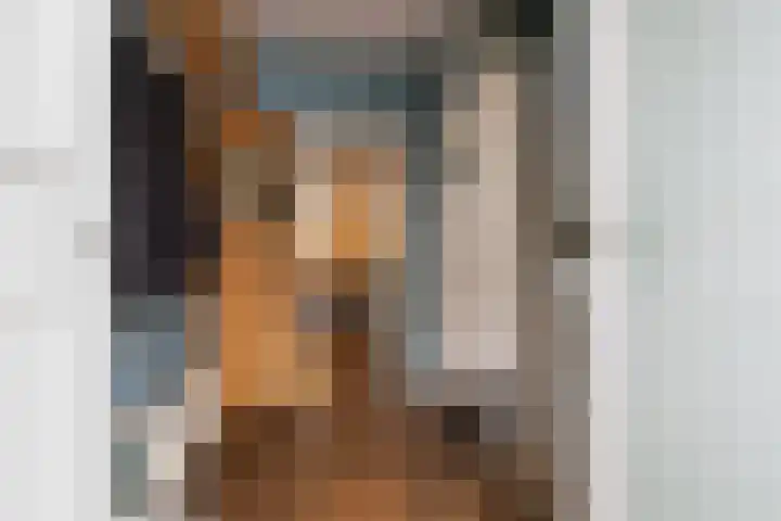 Retiefstraat 6 Vaassen thumbnail 4