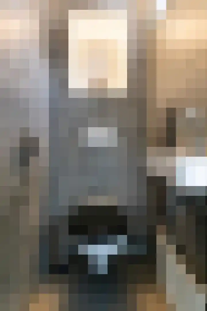 Retiefstraat 6 Vaassen thumbnail 6