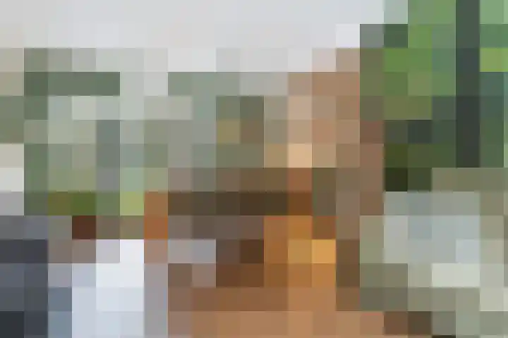 Retiefstraat 6 Vaassen thumbnail 7