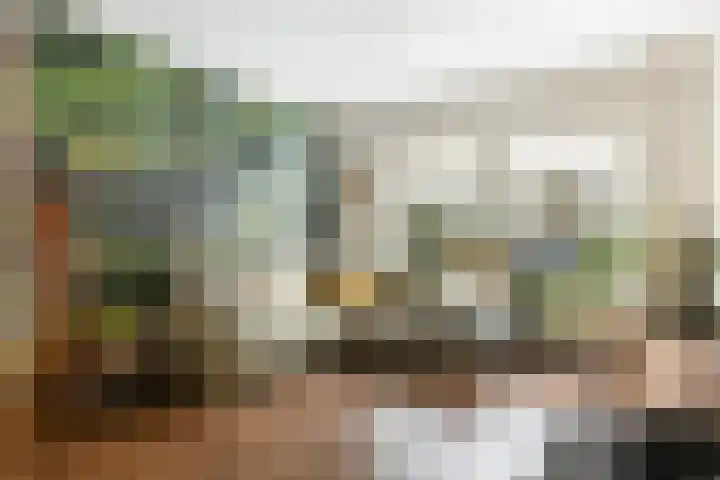 Retiefstraat 6 Vaassen thumbnail 8