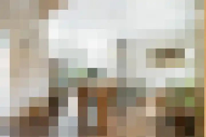 Retiefstraat 6 Vaassen thumbnail 9
