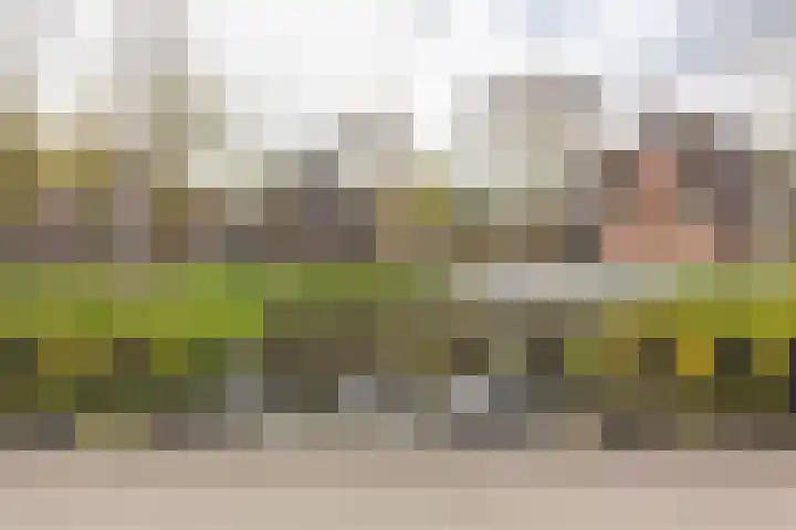 Retiefstraat 61 3 Amsterdam thumbnail 41