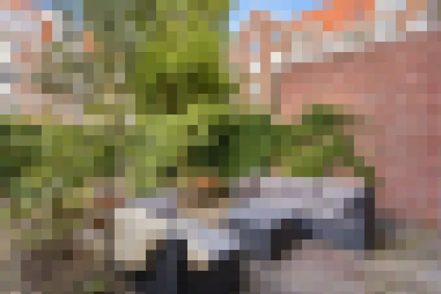 Retiefstraat 8 A Amsterdam thumbnail 19