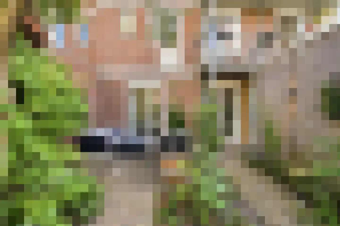 Retiefstraat 8 A Amsterdam thumbnail 23