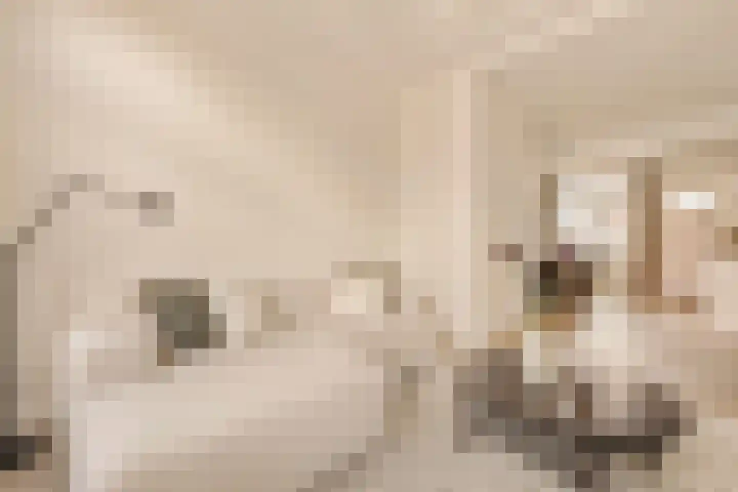 Retiefstraat 91 D Amsterdam thumbnail 8