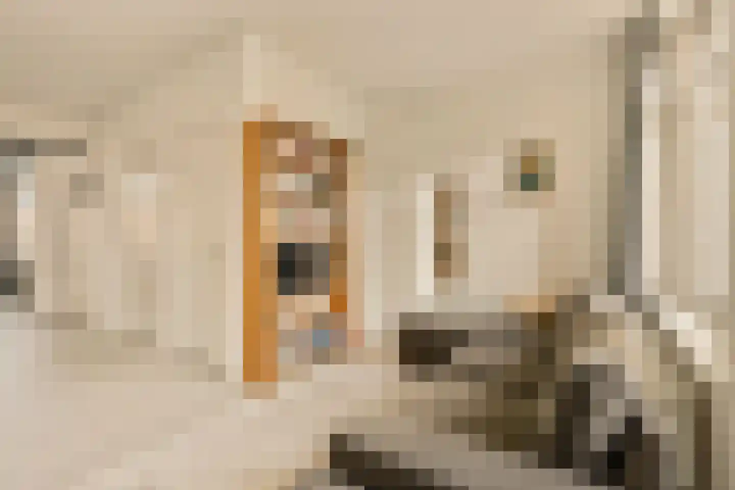 Retiefstraat 95 B Amsterdam thumbnail 11
