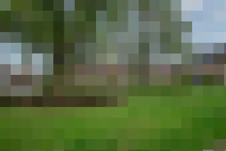 Retiestraat 3 Eindhoven thumbnail 29
