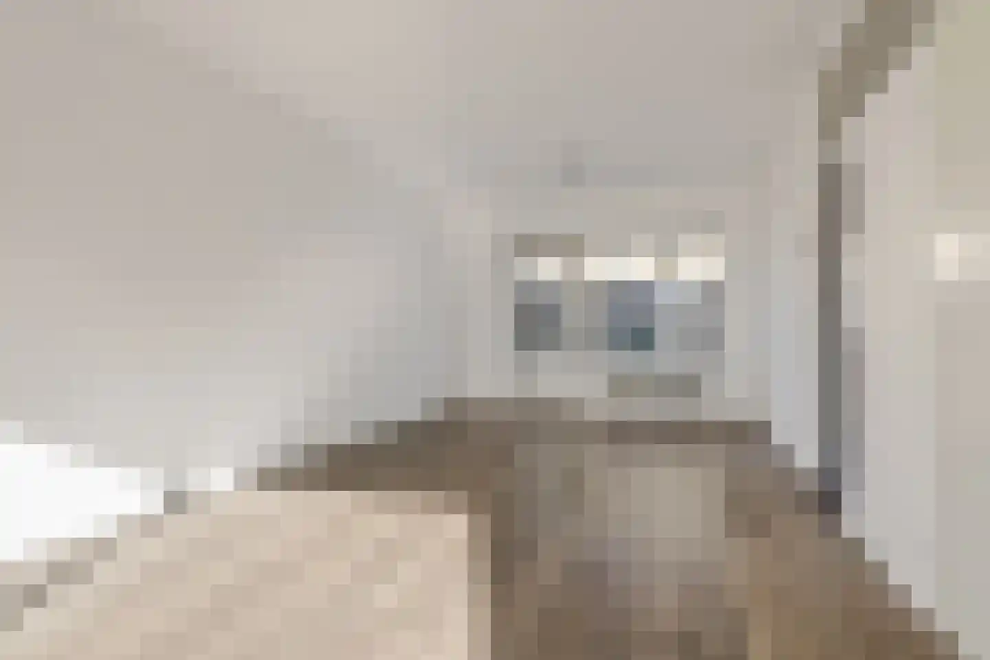 Retiestraat 8 Eindhoven thumbnail 7