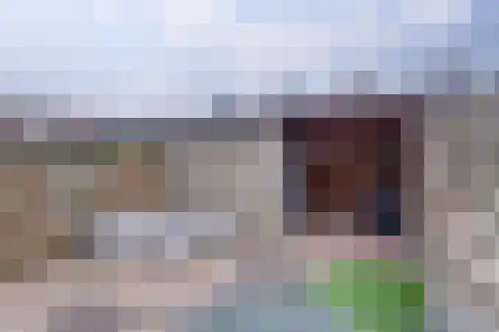 Retoricahof 10 Gorinchem thumbnail 31