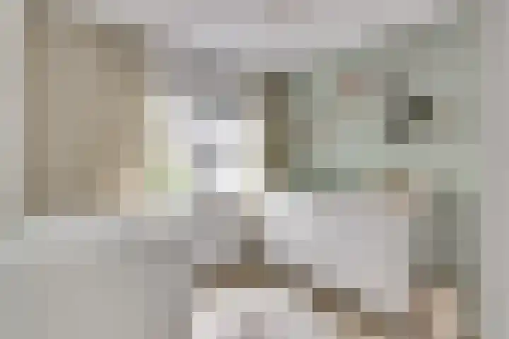 Retoricahof 4 Gorinchem thumbnail 26