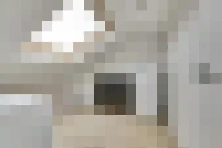 Retoricahof 4 Gorinchem thumbnail 32