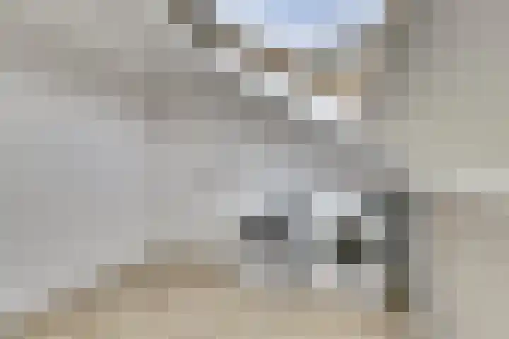 Retoricahof 4 Gorinchem thumbnail 33