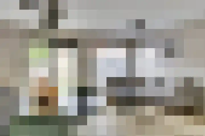 Retoricahof 4 Gorinchem thumbnail 7