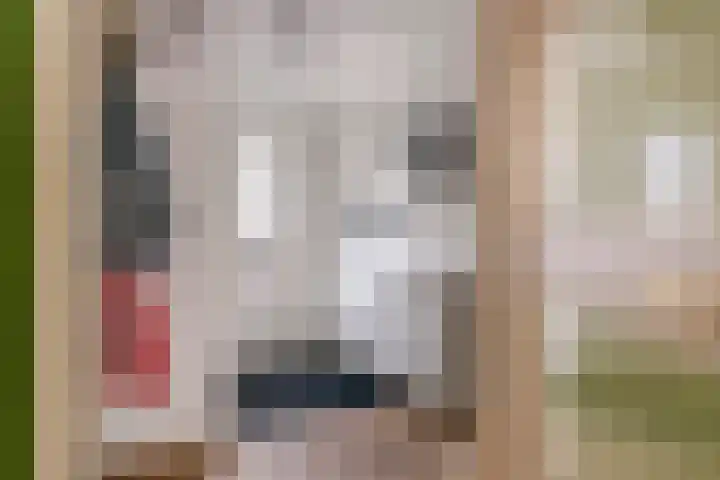 Retoricahof 5 Gorinchem thumbnail 17