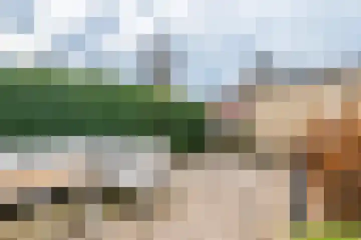 Retoricahof 5 Gorinchem thumbnail 8