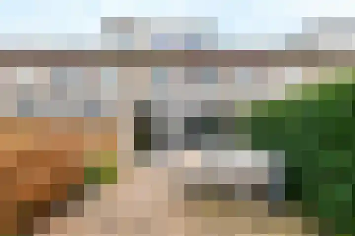 Retoricahof 5 Gorinchem thumbnail 9
