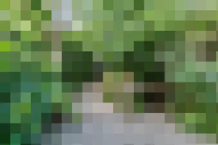 Retranchement 24 Gorinchem thumbnail 23