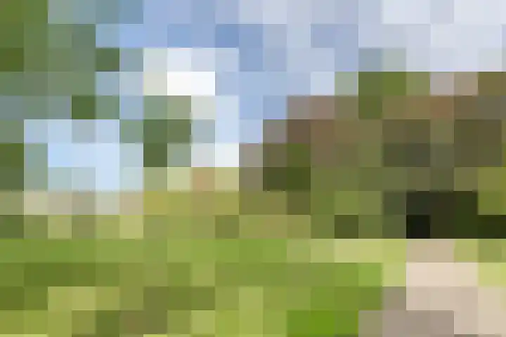 Retranchement 24 Gorinchem thumbnail 26